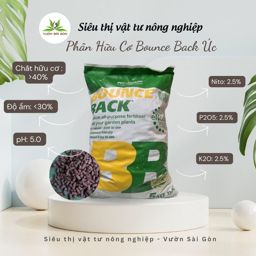 Phan Bon Huu Co Bb Bounce Back 1