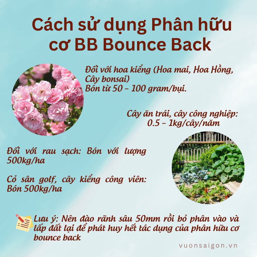 Phan Bon Huu Co Bb Bounce Back 4