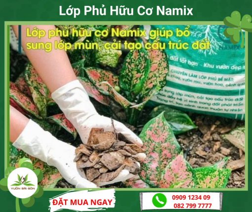 Lop Phu Huu Co Namix