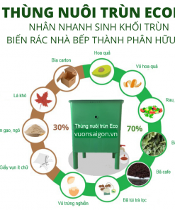 Thung Nuôi Trun Eco (1)