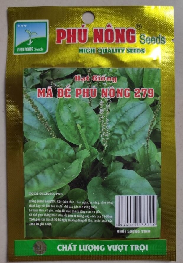 hạt giống Mã Đề Phú Nông.