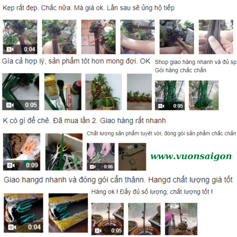 Kep Chau Giu Kei Lan (5)
