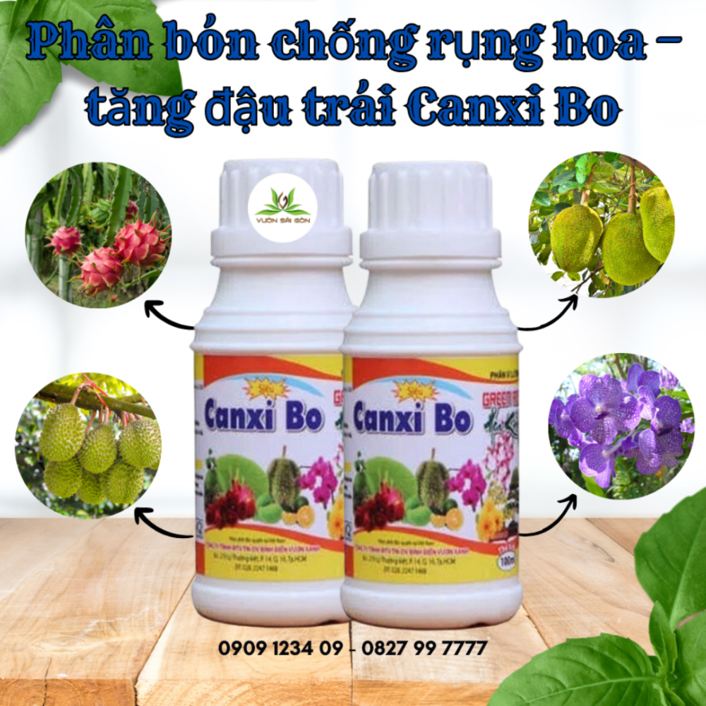 Phan Bon Chong Rung Hoa Tang Dau Qua Canxi Bo (1)