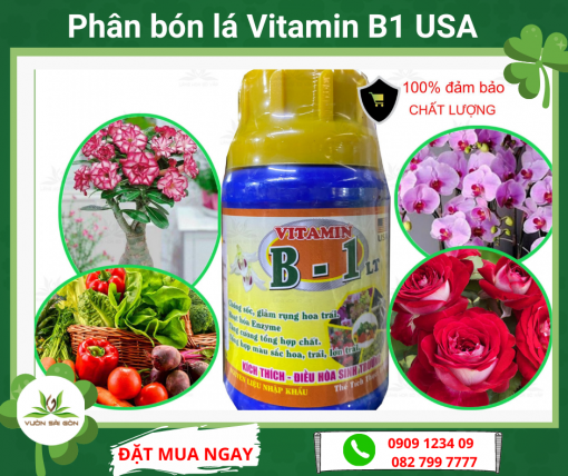 Phan Bon La Vitamin B1 Usa