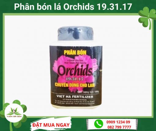 Phan Bon La Orchids 19 31 17