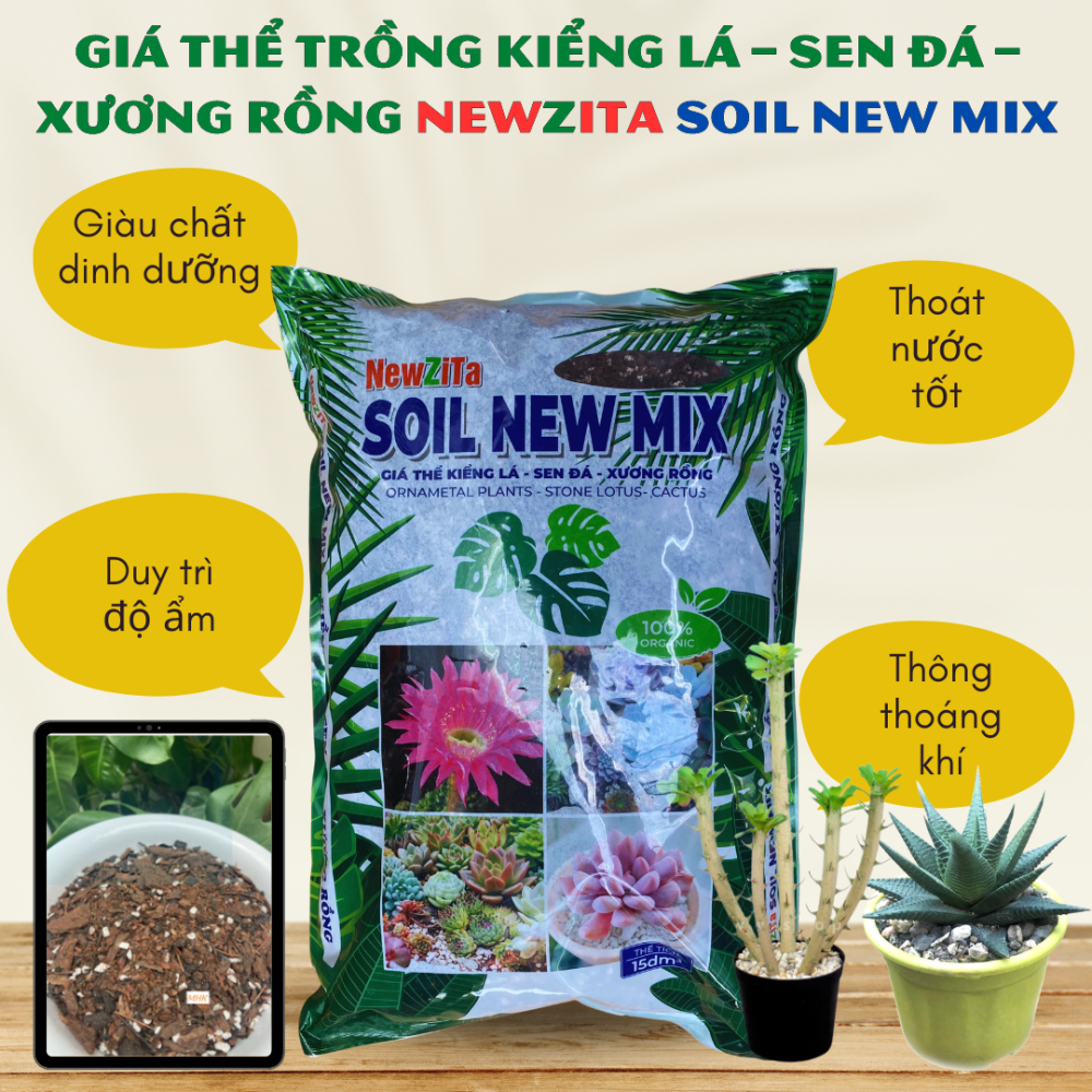 Gia The Trong Kieng La (2)