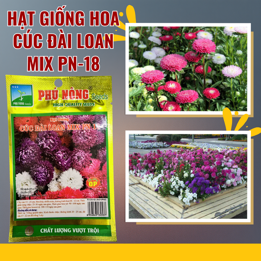 Hat Giong Cuc Dai Loan Mix