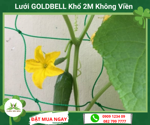 Luoi Goldbell Kho 2m Khong Vien