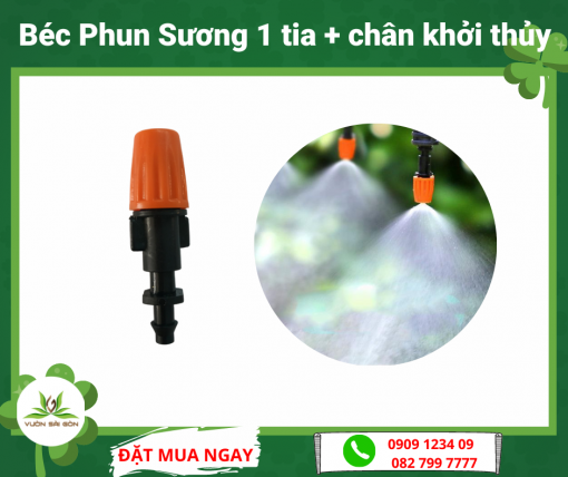 Bec Phun 1 Tia Chân Khoi Thuy