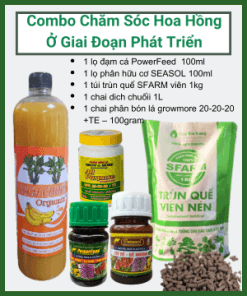 Combo Cham Soc Hong