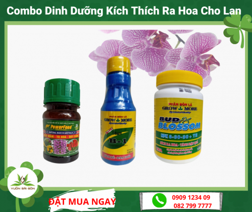 Combo Dinh Duong Kich Thich Ra Hoa Lan