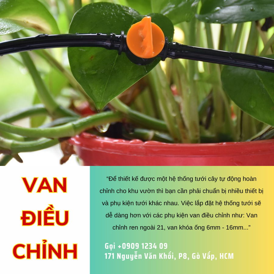 Van Dieu Chinh