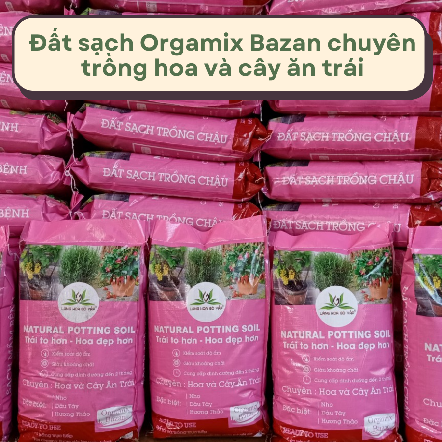 Dat Bazan Trong Hoa Và Cay An Trai (1)