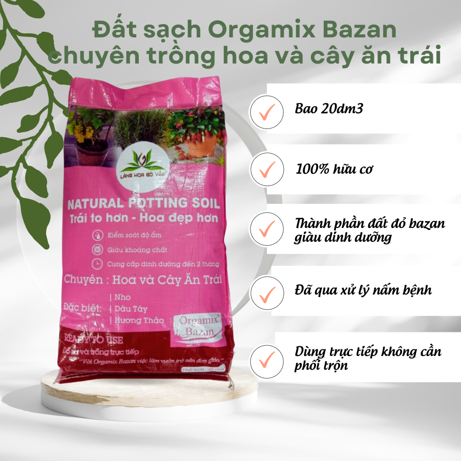 Dat Bazan Trong Hoa Va Cay An Trai