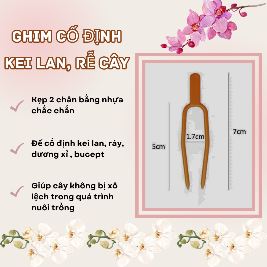 Ghim Co Dinh Kei Lan Cay Thuy Sinh (3)