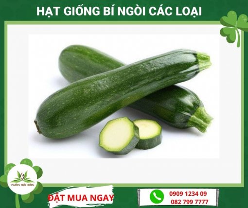 Hat Giong Bi Ngoi Cac Loai