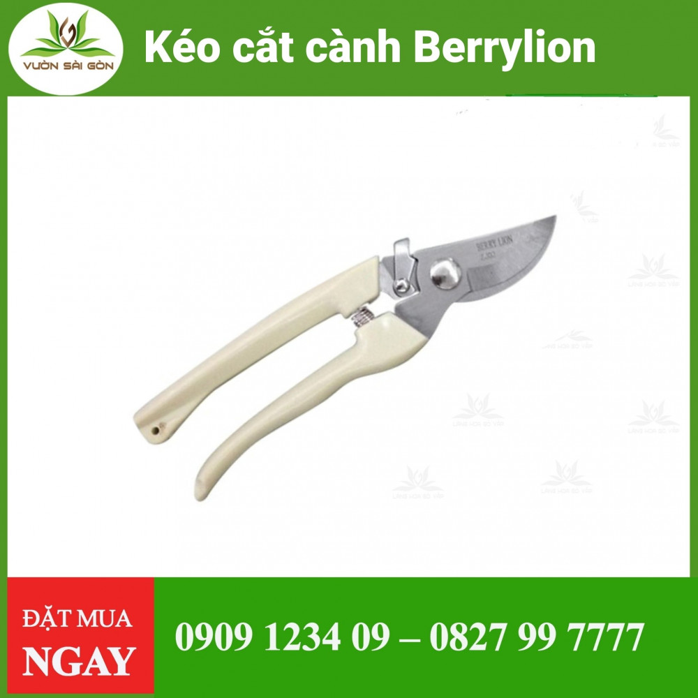 Keo Cat Canh Berrylion