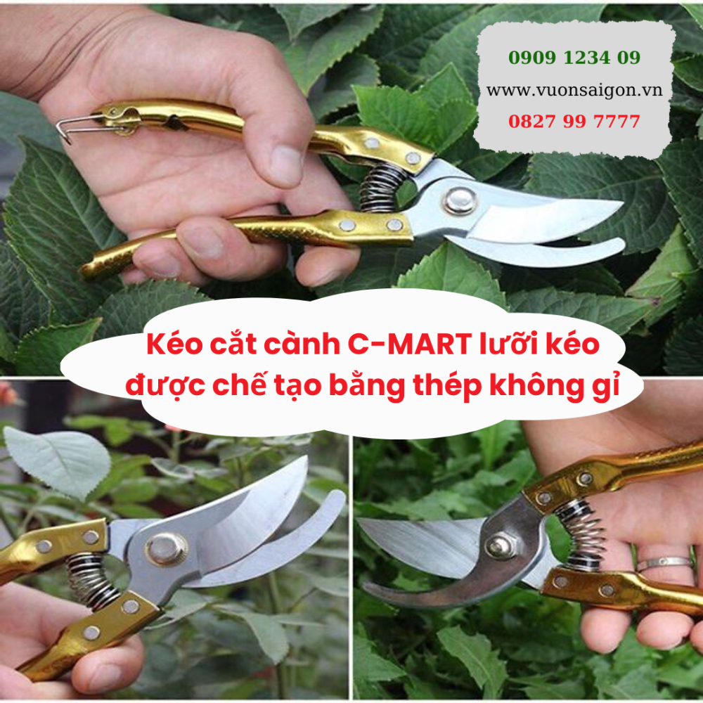 Keo Cat Canh Can Can Vay Ca Cmart (2)