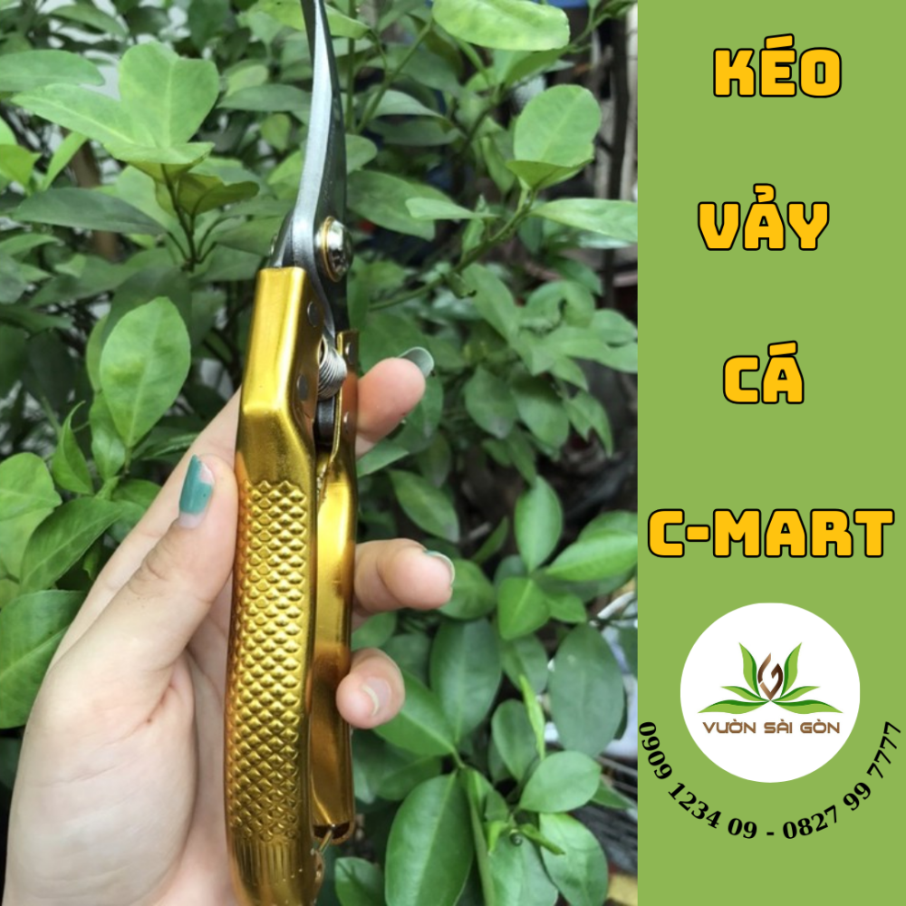 Keo Cat Canh Can Can Vay Ca Cmart (3)