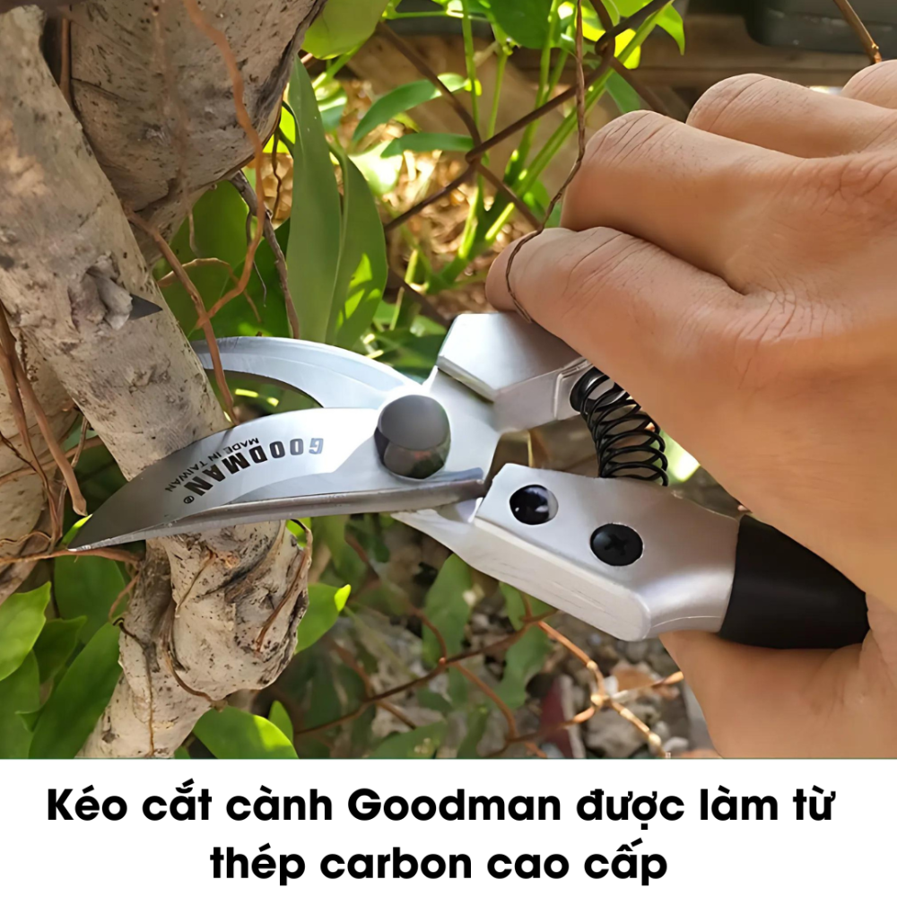Keo Cat Canh Goodman (1)