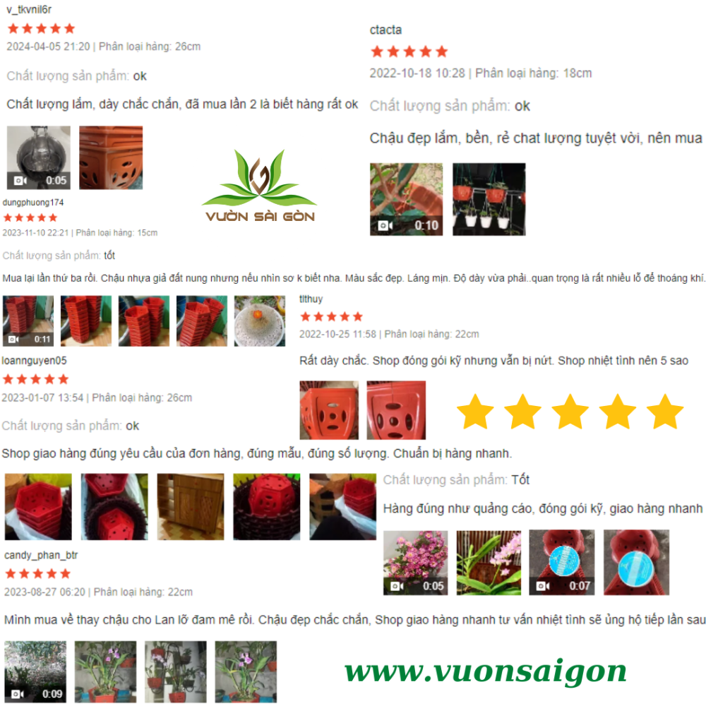 Chau Lan Nhua Dong Tien