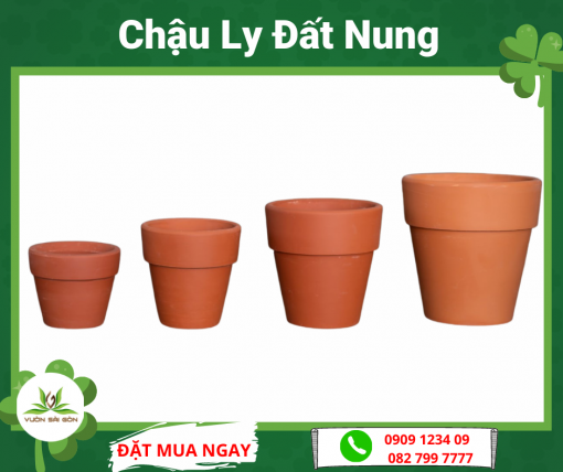 Chau Ly Dat Nung (1)