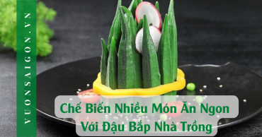 Che Bien Nhieu Mon An Ngon Voi Dau Bap Nha Trong