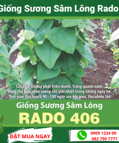 Hg Suong Sam Long 406
