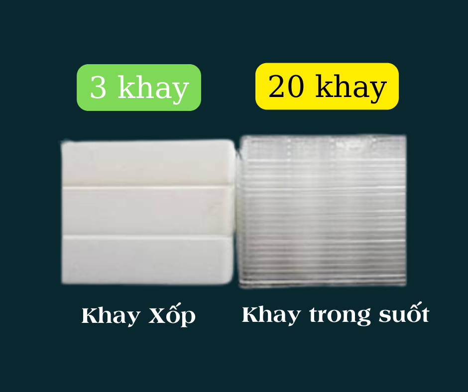 3 Khay (1)