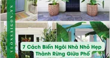 7 Cach Bien Ngoi Nha Nho Hep Thanh Rung Giua Pho