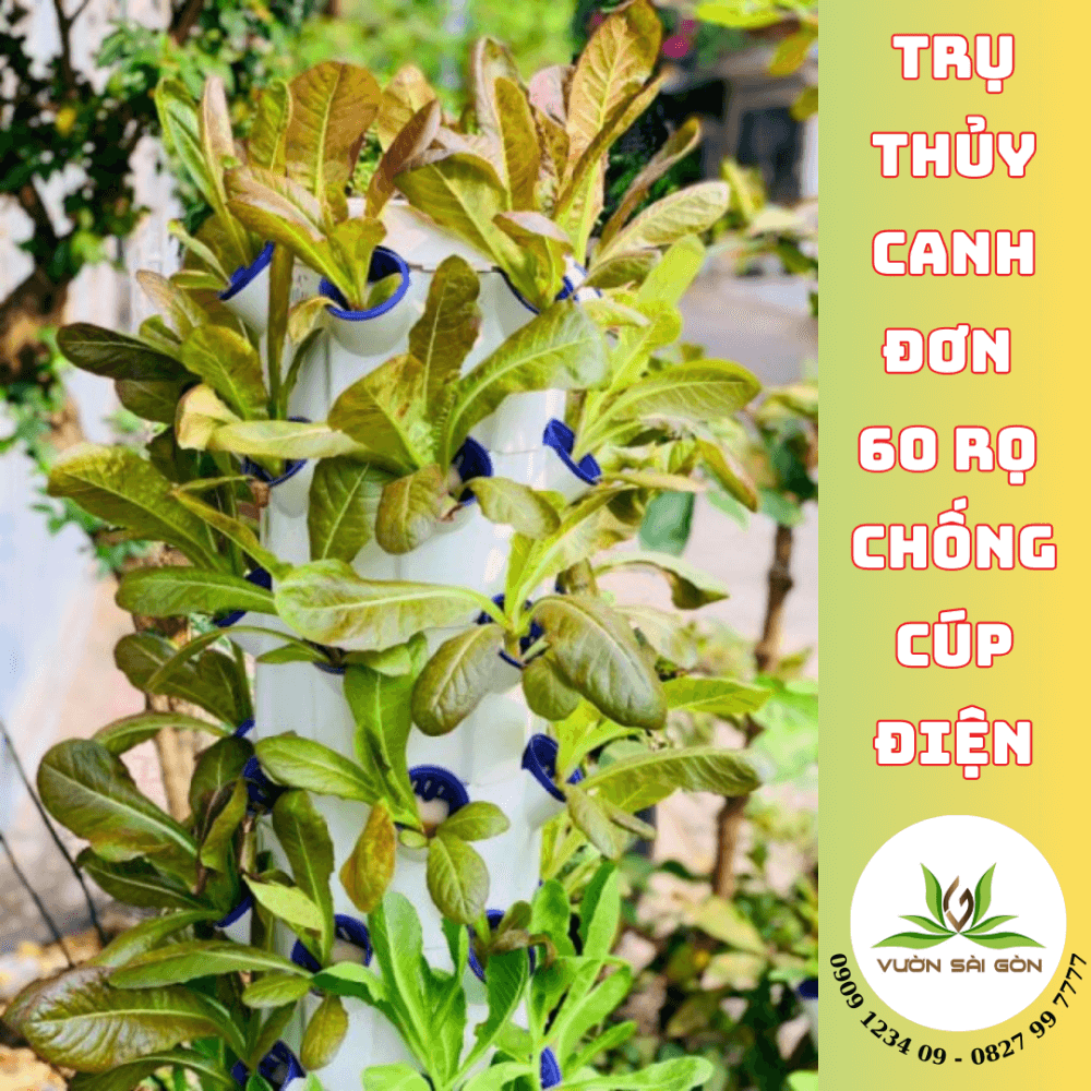 Tru Thuy Canh 66 Hoc (3)