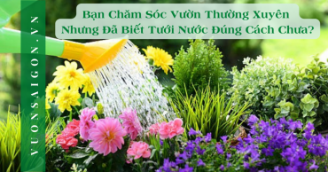 Ban Cham Soc Vuon Thuong Xuyen Nhung Da Biet Tuoi Nuoc Dung Cach Chua