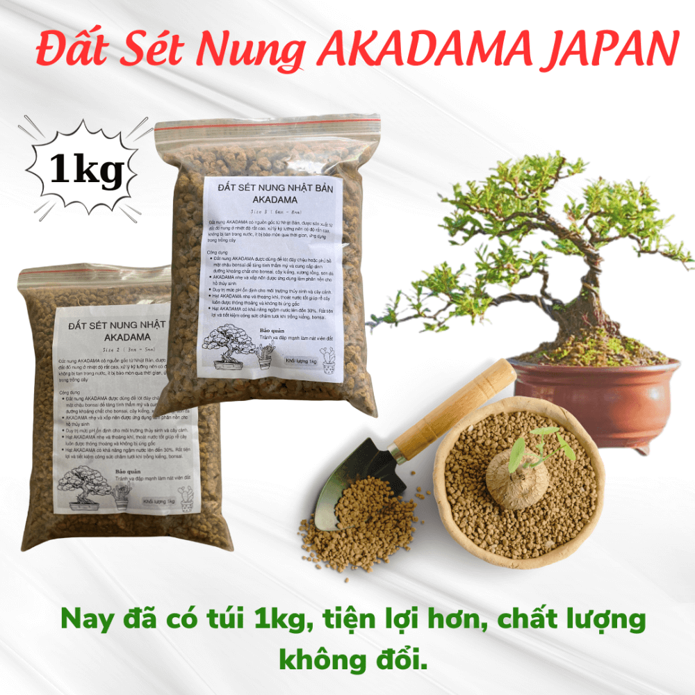 Dat Nung Akadama