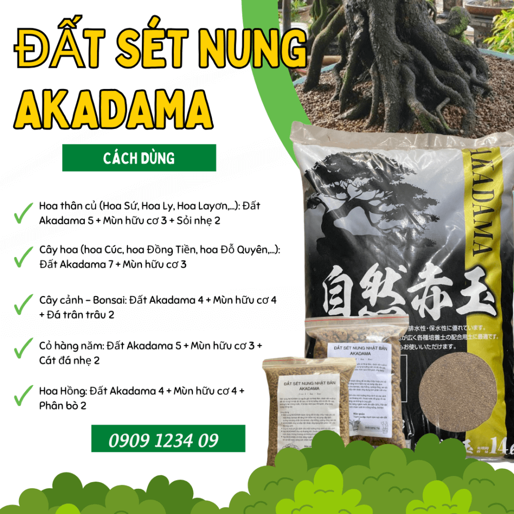 Dat Set Nung Akadama (1)