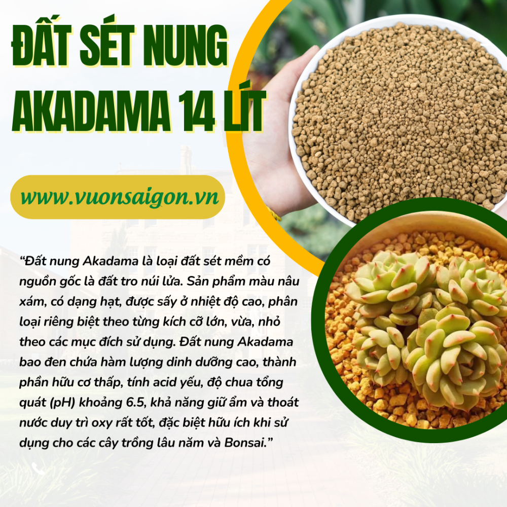 Dat Set Nung Akadama (2)