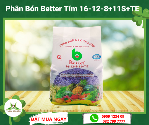 Phan Bon Better Tim 16 12 8 11s Te