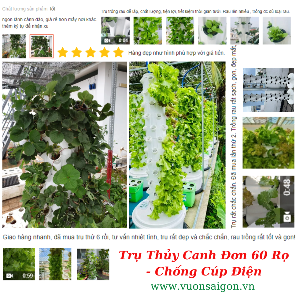 Tru Thuy Canh (1)