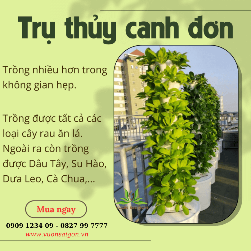 Tru Thuy Canh Don (3)