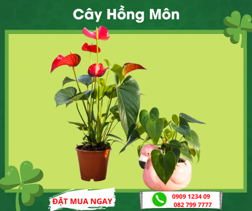 Cay Hong Mon