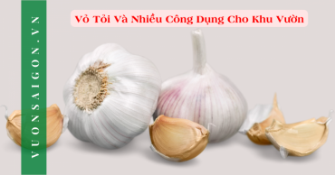 Su Dung Vo Toi Cho Nong Nghiep