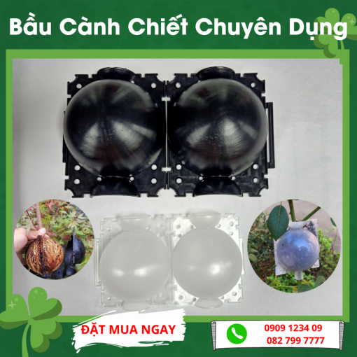 Bau Chiet Canh Chuyen Dung (3)