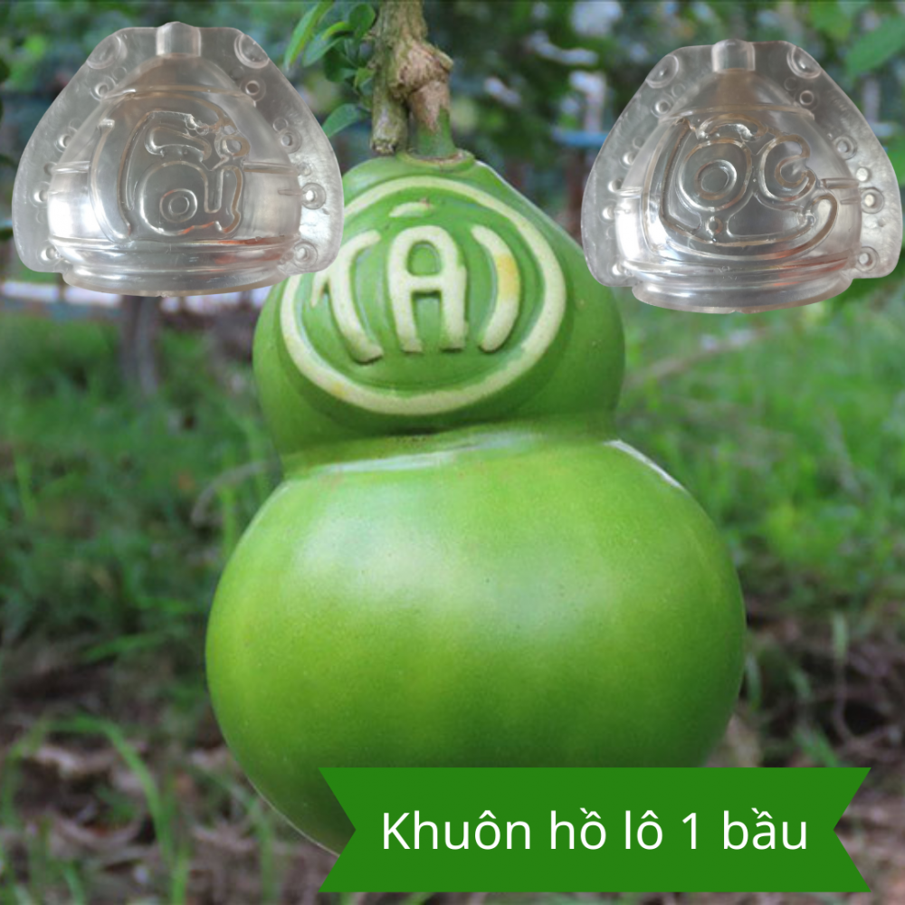 Khuon Ho Lo 1 Bau