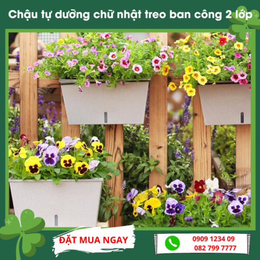Chau Tu Duong Chu Nhat Treo Ban Cong 2 Lop
