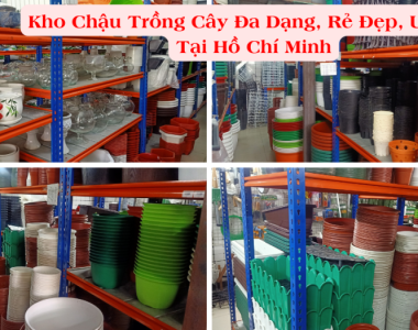 Kho Chau Trong Cay Da Dang Re Dep Uy Tin Tai Tphcm