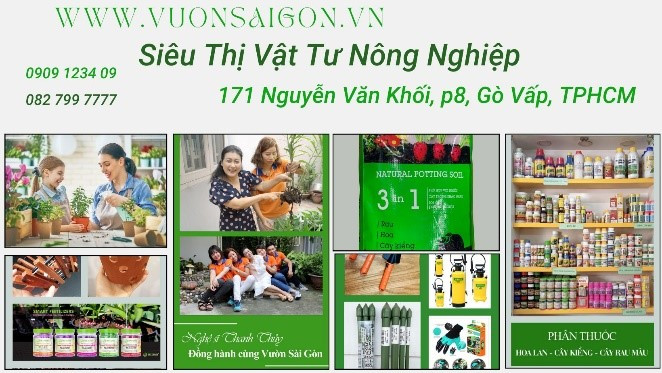 Noi Ban Day Du Dung Cu Lam Vuon Tai Ho Chi Minh 1.png
