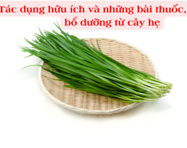 Tac Dung Bo Ich Va Nhung Mon An Tu He