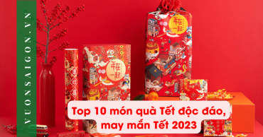 Top 10 Qua Tet Doc Dao May Man Tet 2023 10.jpg