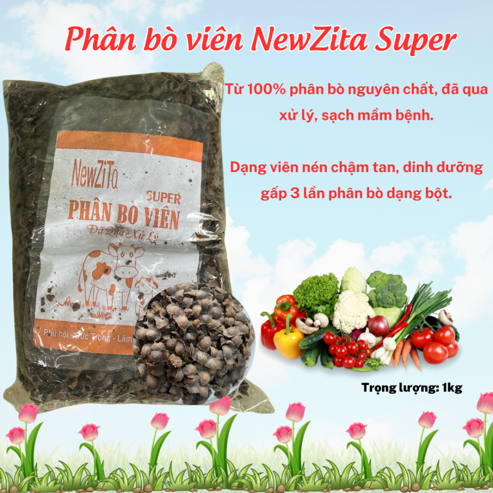 Phan Bo Vien Newzita Super (1)