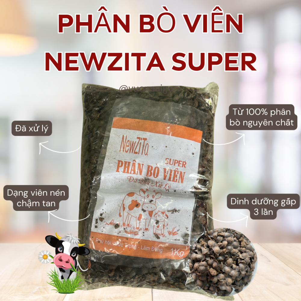 Phan Bo Vien Newzita Super