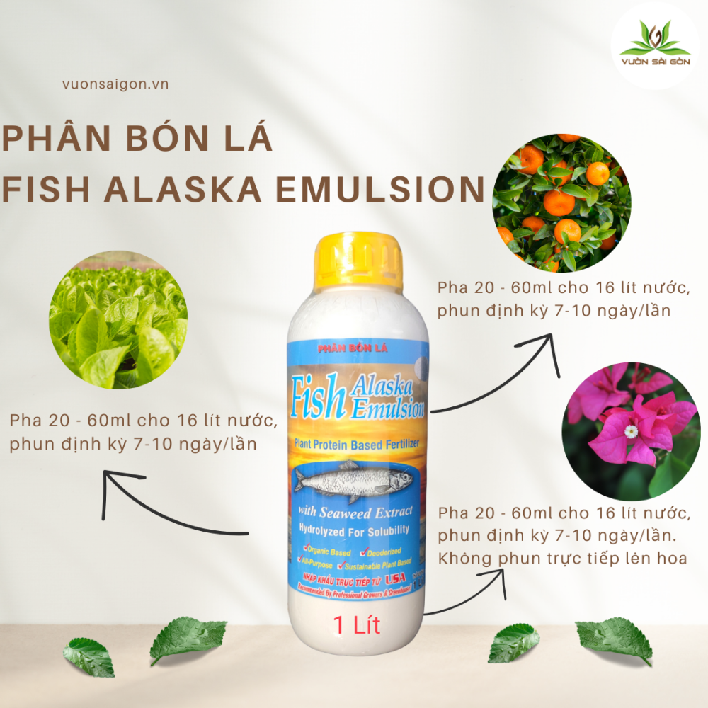 Phan Bon La Fish Alaska (1)